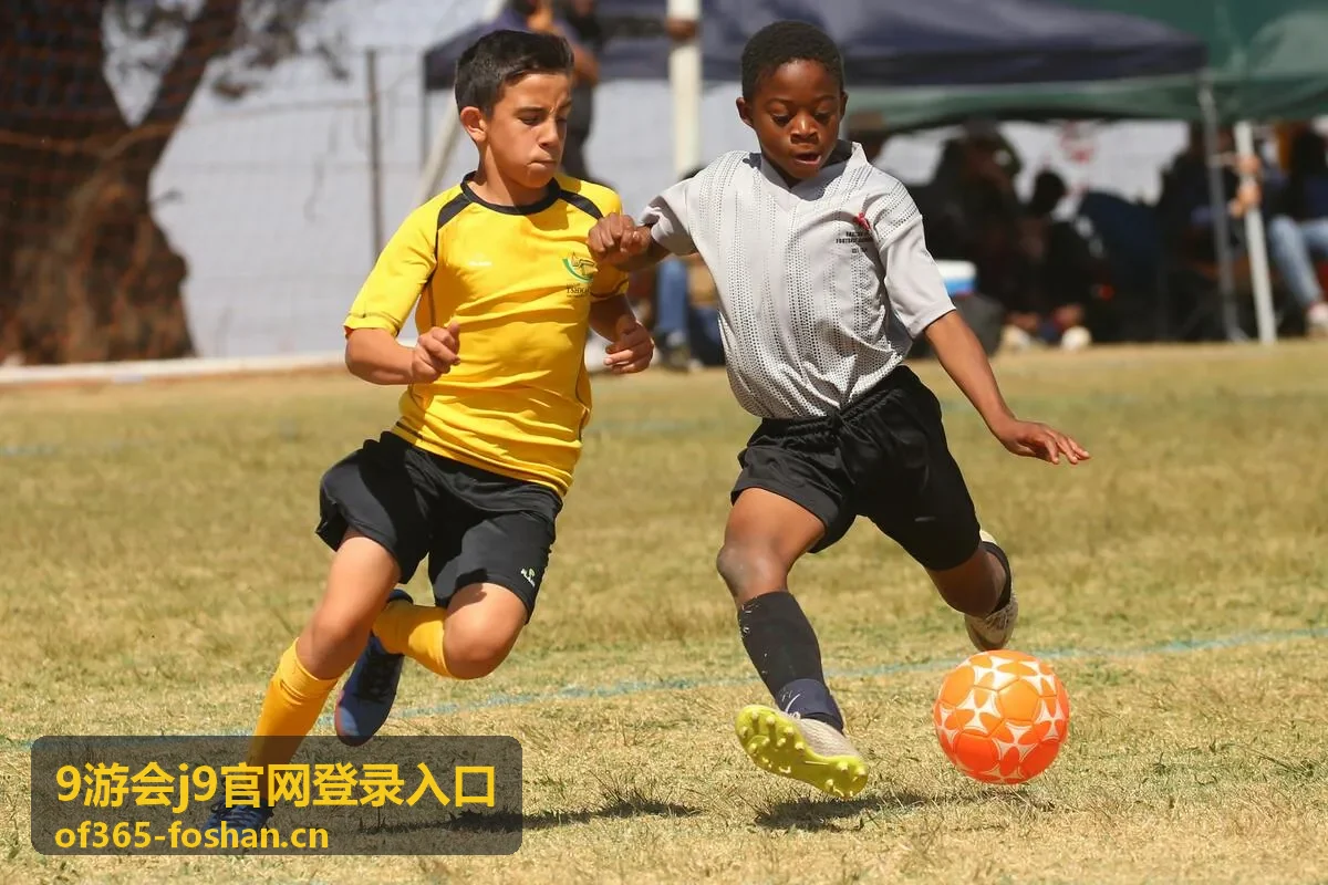 9游会j9官网登录入口识别方法说明配图