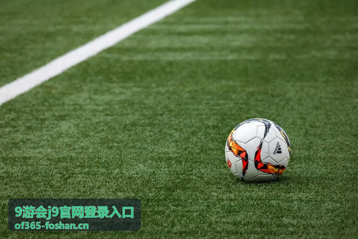 9游会j9官网登录入口公告查看方式配图